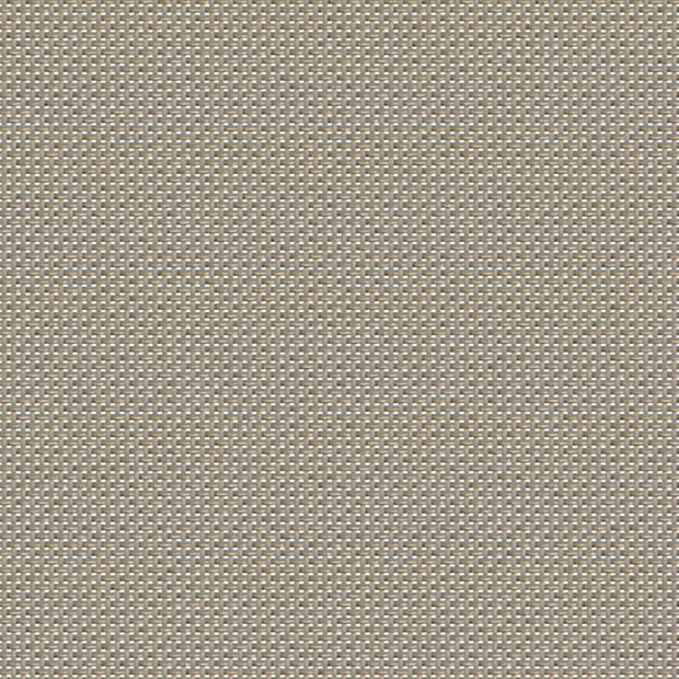 Mesh Grade B