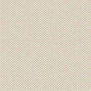 Mesh Grade B