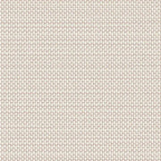 Mesh Grade C