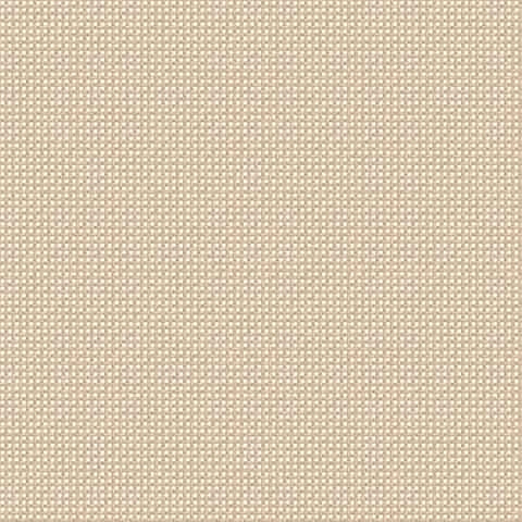 Mesh Grade A