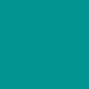 Premium Aluminum Color