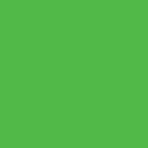 Premium Aluminum Color